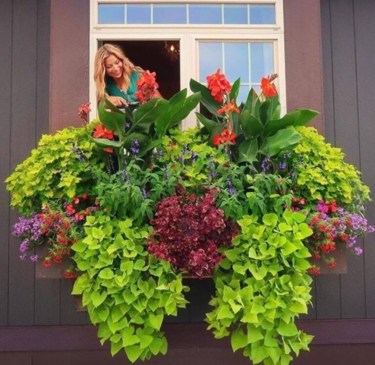 Summer Blossom Secrets:Your Guide to 4 Easy Ways to Keep Hanging Baskets in Full Bloom.