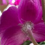 IMG_20230904_181357