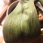 IMG_20230523_084519