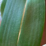 IMG_20230731_150909
