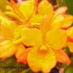 IMG_20240126_145945