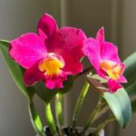 IMG_20250111_224915