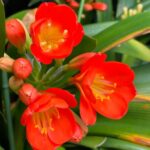 IMG_20250311_185107