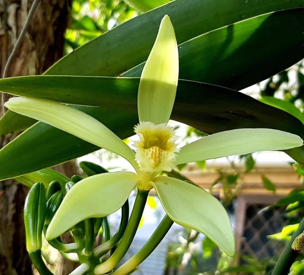 Screenshot 2024 11 04 22 13 46 03