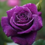 IMG_20250618_213055