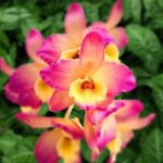 IMG_20241003_141953