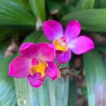 IMG_20241121_042313