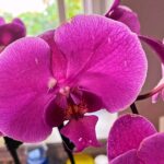 IMG_20250107_185049