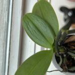 IMG_20250110_213750