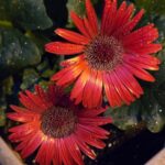 IMG_20250119_103448