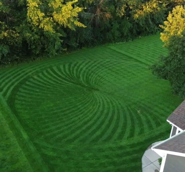 Sunday Lawn Care – Does It Really Work? Read This Before You Buy