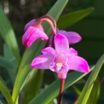 IMG_20250426_111350