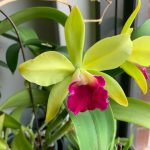 IMG_20250501_120527