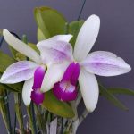 IMG_20250504_095152
