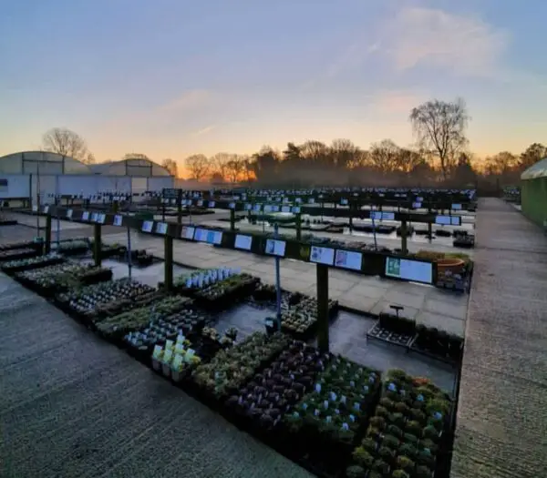Plant Nursery Insurance: 20 Best Expert Tips for Protection