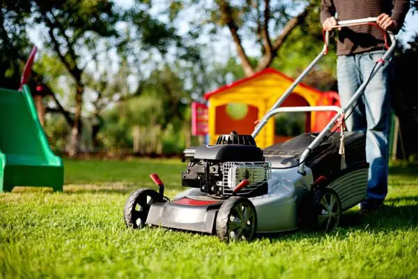 Lawn Fertilizer Service: 10 Best Options to Hire Now
