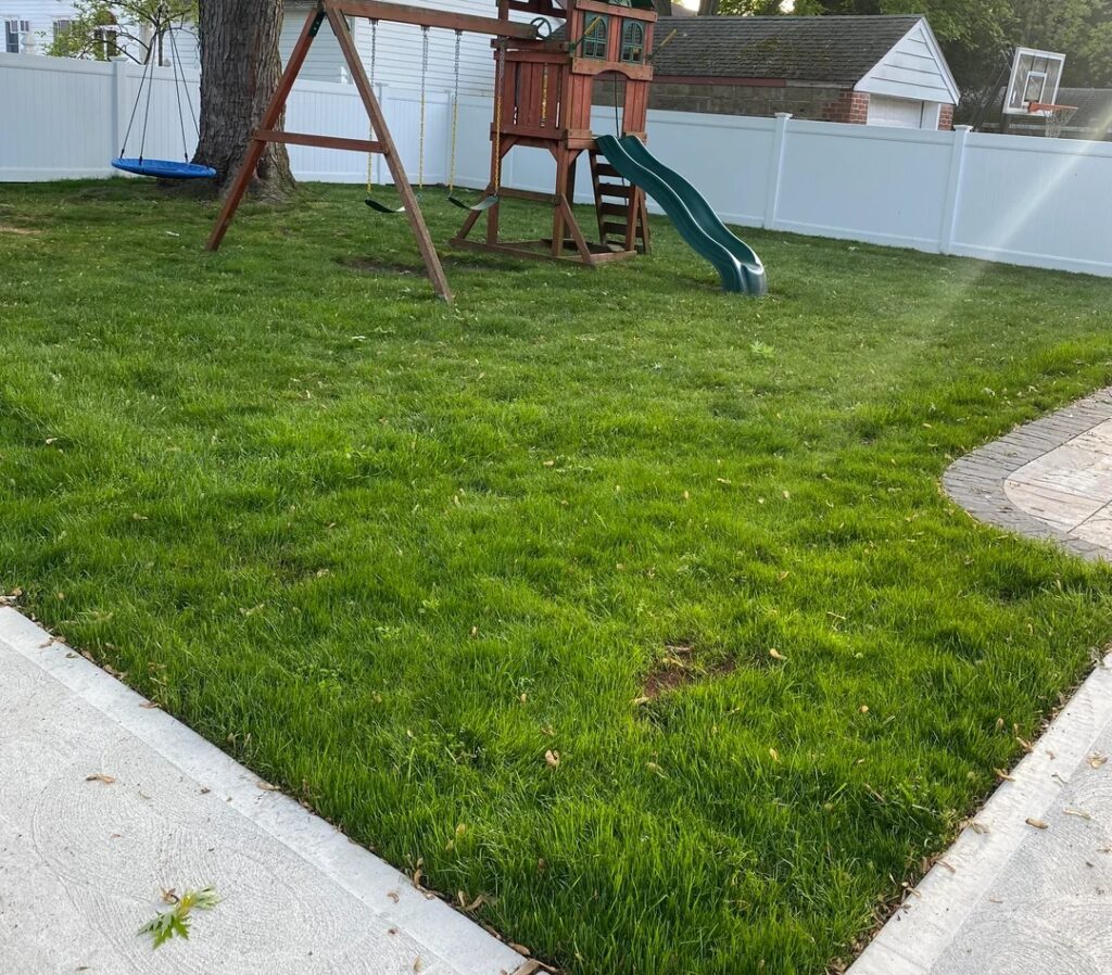 Lawn Leveling Service: 20 Best Benefits and Expert Tips Lawn Leveling Service: 20 Best Benefits and Expert Tips