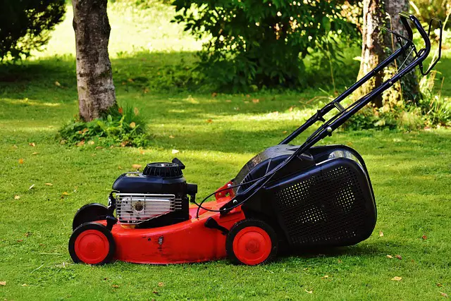 Lawn Care: 10 Expert Hacks To Make Your Grass Thrive Lawn Care: 10 Expert Hacks To Make Your Grass Thrive