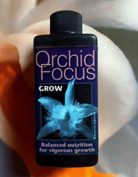 Grow Orchid Spike: 20 Best Secrets to Flowering Orchids Fast