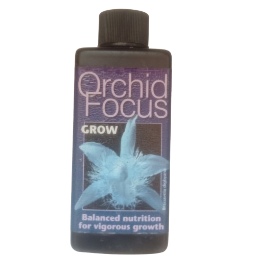 Orchid Leaves Falling – 20 Best Ways to Stop Leaf Loss After Moving from Home to Condo