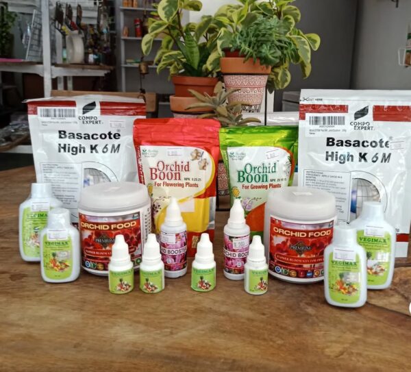 Orchid Fertilizers: 20 Best Organic & Chemical Types for Starters