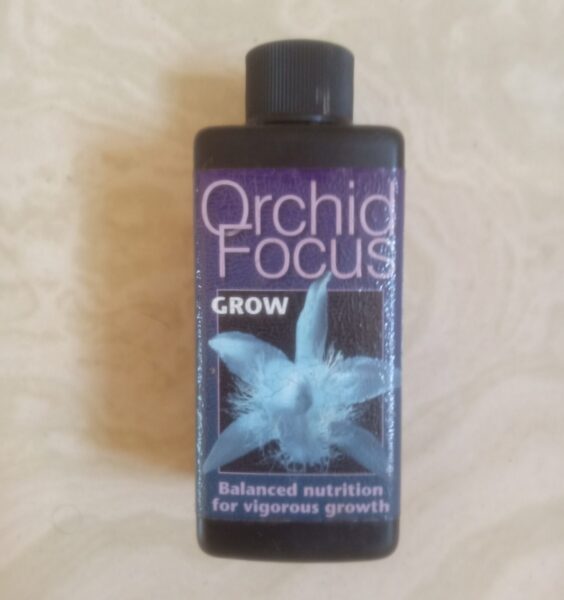 Orchid Not Growing New Roots? 16 Best Reasons and Proven Fixes